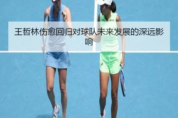王哲林伤愈回归对球队未来发展的深远影响
